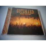Cd Gotthard - Homegrown - Live