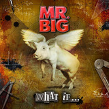 Cd Mr. Big What If (ed