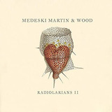 Cd Radiolarians Ii - Medeski, Martin