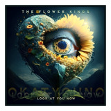 Cd The Flower Kings - Look At You Now - Novo!!