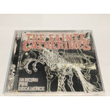 Cd The Sainte Catherines Dancing For