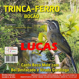 Cd Trinca Ferro Bocão (lançamento) Audio