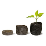 Célula De Germinação E Clonagem Jiffy - 3,0x4,0cm (65und)
