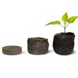 Célula De Germinação E Clonagem Jiffy - 4,2x4,2cm (20 Und)
