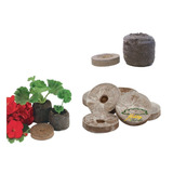 Célula De Germinação E Clonagem Jiffy Plug 42x42 Mm - 20 Ud