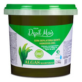 Cera Depilatória Depil Mais Algas Hidrossolúvel 1,3kg