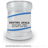 Cerâmica Baot Dentina Opaca A1 -