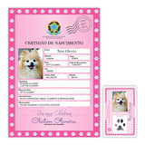 Certidão De Nascimento Pet E Rg Pet Cão Gato Outros Animais