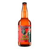 Cerveja Artesanal Elementum The Taste Ipa 500ml
