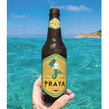 Cerveja Praya Witbier 355ml Rj -