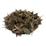 Chá De Pitanga - Eugenia Uniflora