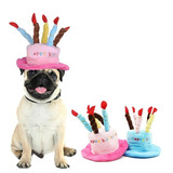 Cachorro