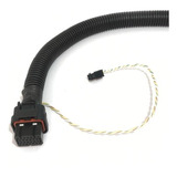 Chicote Fueltech Ft 450 Motor Ap Distribuidor