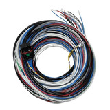 Chicote Para Ft450 - Ft550 A 3 Metros Fueltech