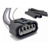 5v