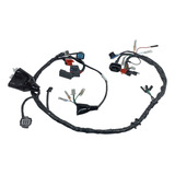 Chicote Principal Cbx 250 Twister 2004 2005 Fiação