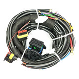 Chicote Stag Gnv 5a Geracao Para Modulos Gofast 200 Tury Gas