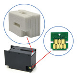 Chip Feltro Caixa Manutenção Compatível Epson Wf-c5790 C5710