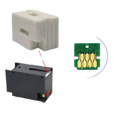 Chip Feltro Caixa Manutenção Compatível Epson Wf-c5790 C5710