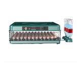 Chocadeira Automática Bateria 12v Tanque Água 130 Ovos 110 V