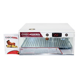 Chocadeira Ovoscópio 120 Ovos Galinha Automática 220 Volts