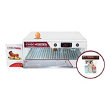 Chocadeira Ovoscópio Automática 60/70 Ovos Galinha 220 Volts
