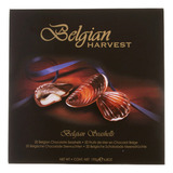 Chocolate Belga Harvest Seashells The Belgian