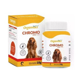 Cachorro