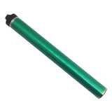 Gpr54