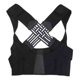 Feminino