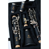 Clarinete Yamaha Ycl-650 Profissional 17 Chaves