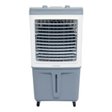 Climatizador Ar 60 L Portátil Evaporativo Umidificador 220v Cor Branco/cinza