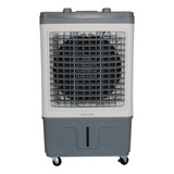 Climatizador Clin 35 Pro Clin35pro-02 150w