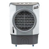 220v