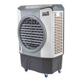 220v