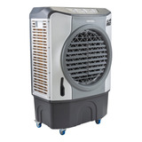 cinza127v