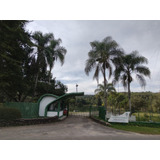 Tamandare