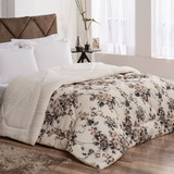 Coberdrom Casal Queen Winter 100% Algodão / Sherpa 01 Peça -