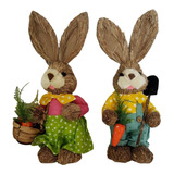 Coelhos