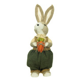 Coelho Pascoa Sisal Em Pe Com Cenouras E Roupa Verde 40cm