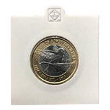 Coin Holder Leuchtturm Alvéolo 60 Unid Autoadesivos Branco