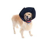 Col 1001-1 Colar Elizabetano De Tecido P/ Cães E Gatos - N°0