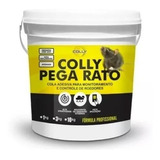 Cola Colly Pega Rato Pronto Uso- Camundongos E Ratazana 1 Kg