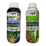 Cola Entomológica - 1 Amarela + 1 Azul - 1 Litro Cada