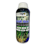 Glue