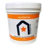 Cola Homestar 5kg Sanca Isopor Rodateto Poliestireno Moldura
