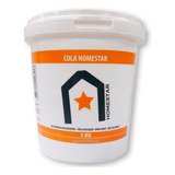 Cola Homestar Kit Com 3 P/sanca Molduras Rodateto Isopor 1kg