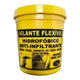 Cola Impermeabilizante Flexivel Veda Vazamentos Telhas 1kg