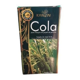 Cola Instantanea Liquida Gel P/ Papel De Parede Adesiva 