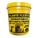 Cola Selante De Isolamento P/ Infiltração E Reparos Vem 1 Kg